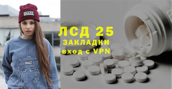 PSILOCYBIN Алзамай