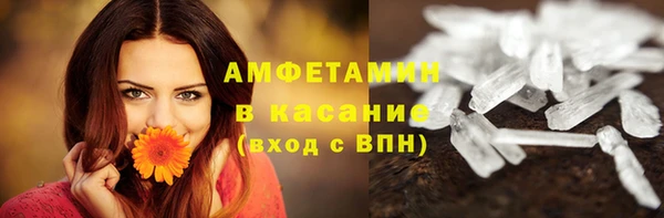 PSILOCYBIN Алзамай