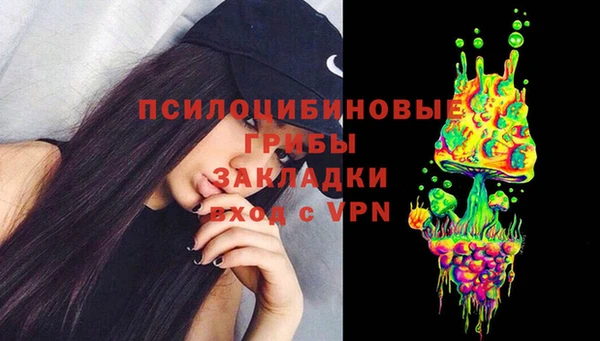 PSILOCYBIN Алзамай