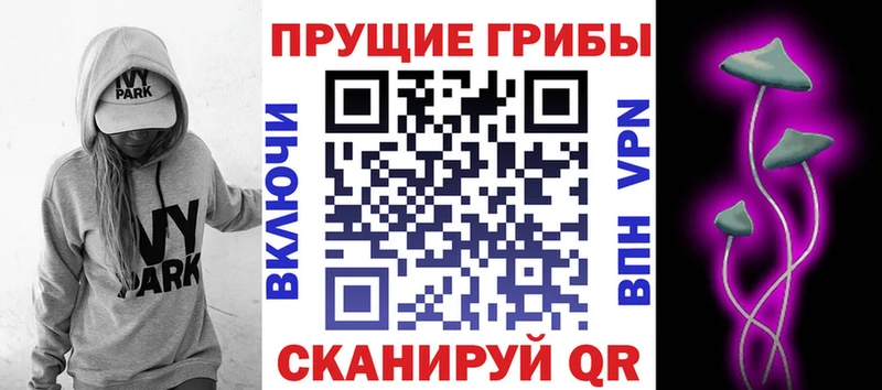 мориарти формула  Лагань  Псилоцибиновые грибы прущие грибы  где купить наркотик 